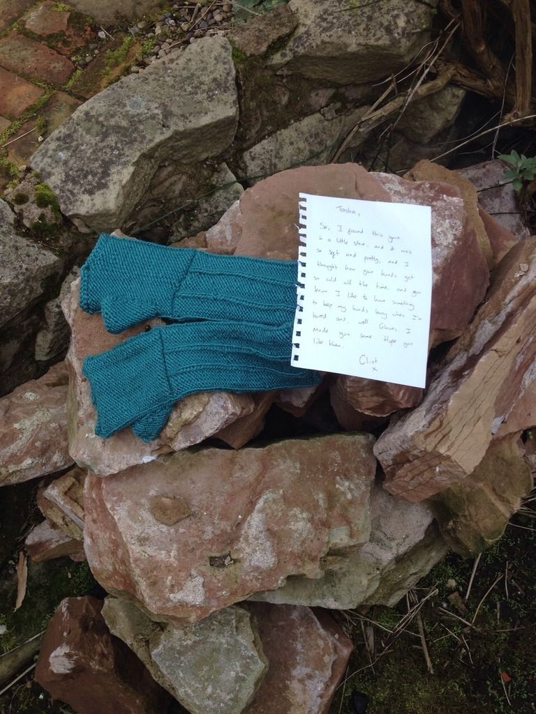 Gloves 2 photo IMG_3464_zpstbzaoi0p.jpg