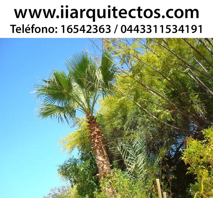 Vendo Terrenos en San Carlos, Sonora Royal Golf Club Residencial Vendo Terrenos en San Carlos, Sonora Royal Golf Club Residencial