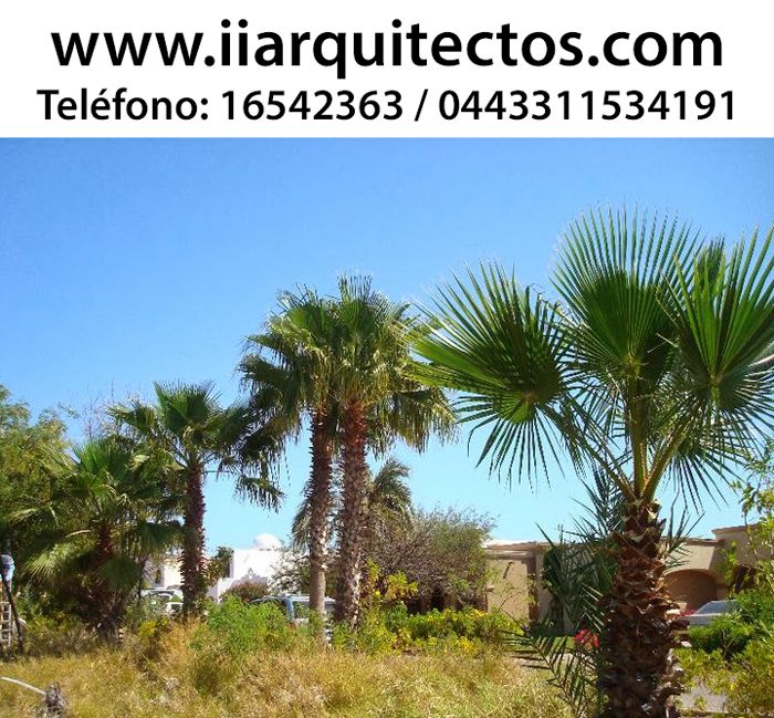Vendo Terrenos en San Carlos, Sonora Royal Golf Club Residencial Vendo Terrenos en San Carlos, Sonora Royal Golf Club Residencial