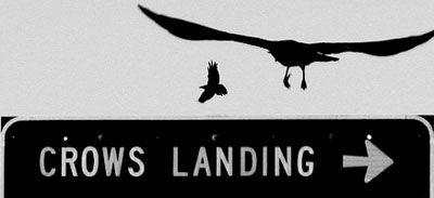 Crows Landing