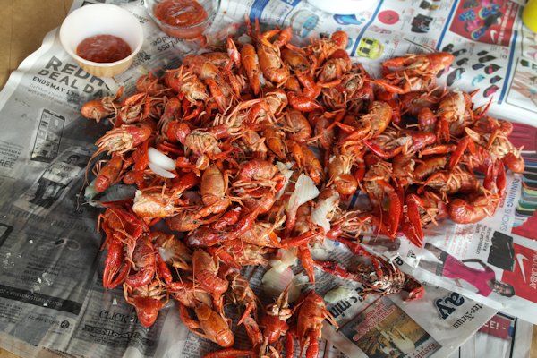 The Crawfish Near Fiasco — Patchwork Times by Judy Laquidara