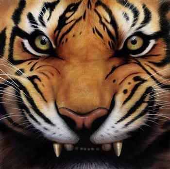 eye-tiger-growl.jpg