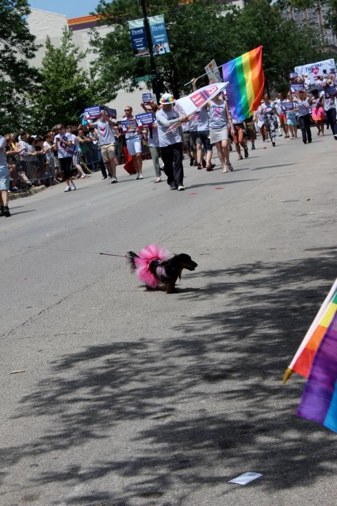 Chicago Pride Parade 2013 Chicago Pride Parade 2013