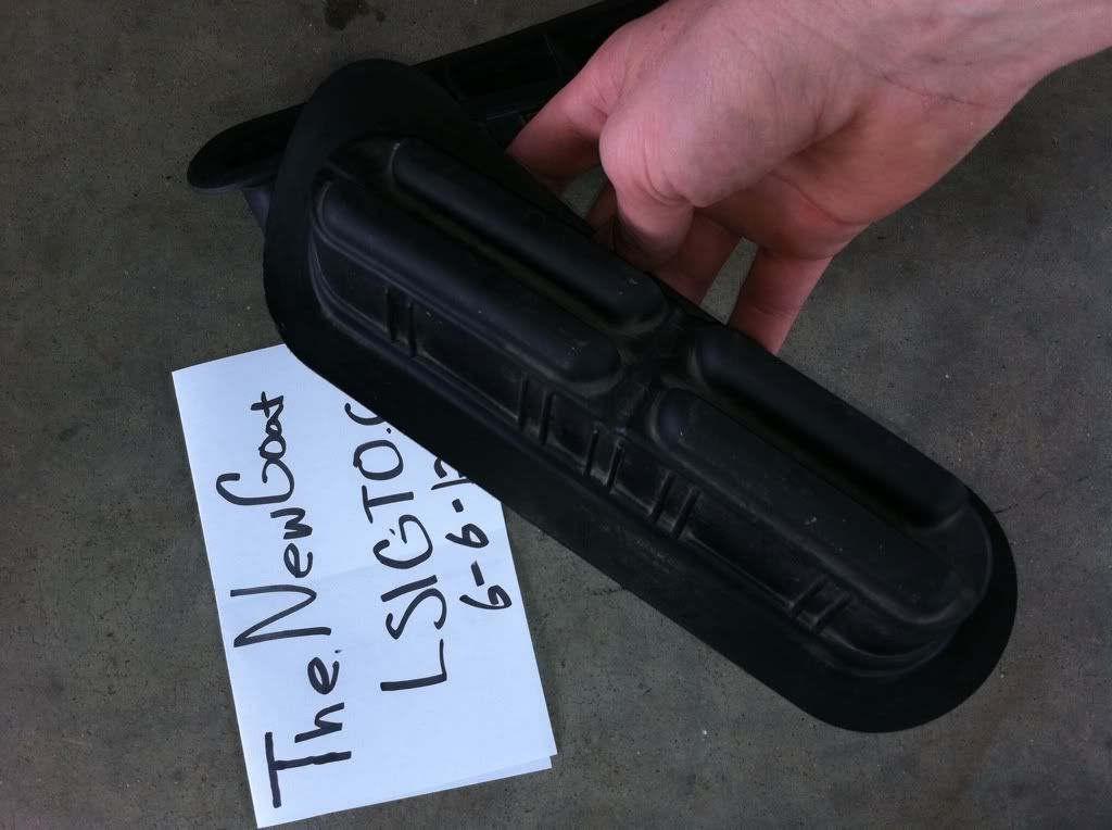 HOOD SCOOP PLUGS**** LS1GTO Forums