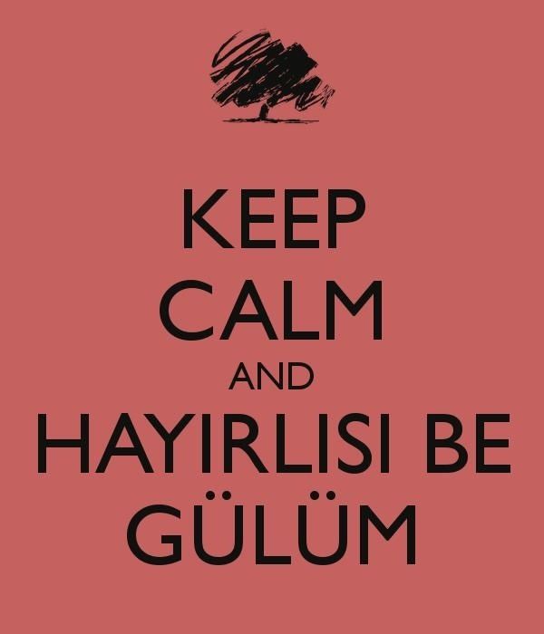 Resim