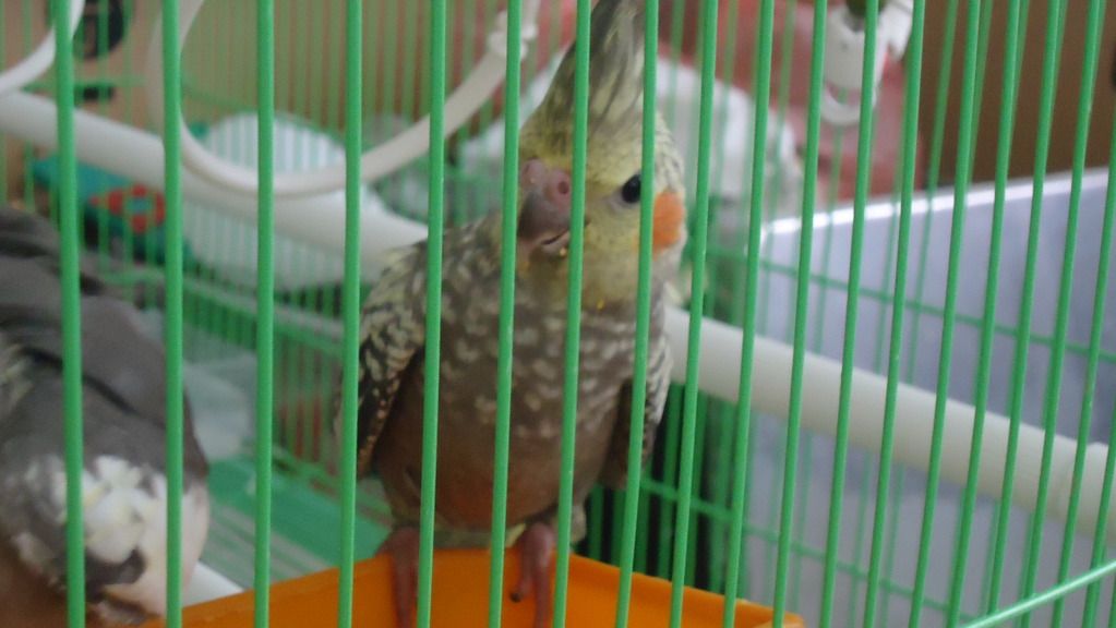 DSC01062.jpg