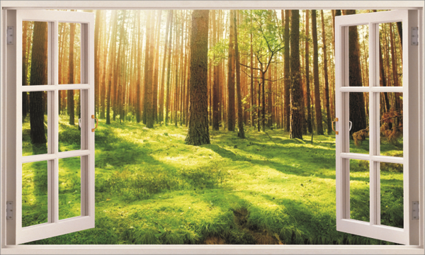Green Forest Under Sunshine 3D Window Wall Decals