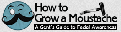 How to Grow a Moustache