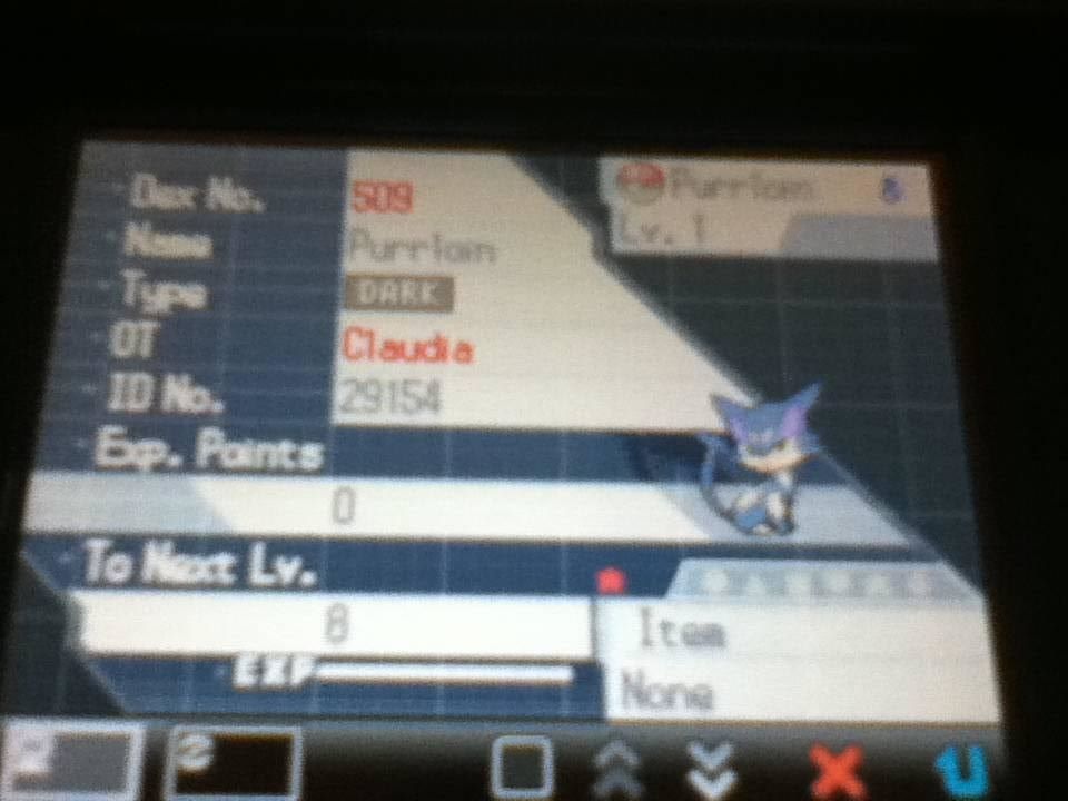 [PokeCommunity.com] ~>{*Shiny Hunters Club}<~