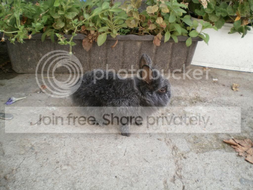  photo P9150007_zps682c1dff.jpg