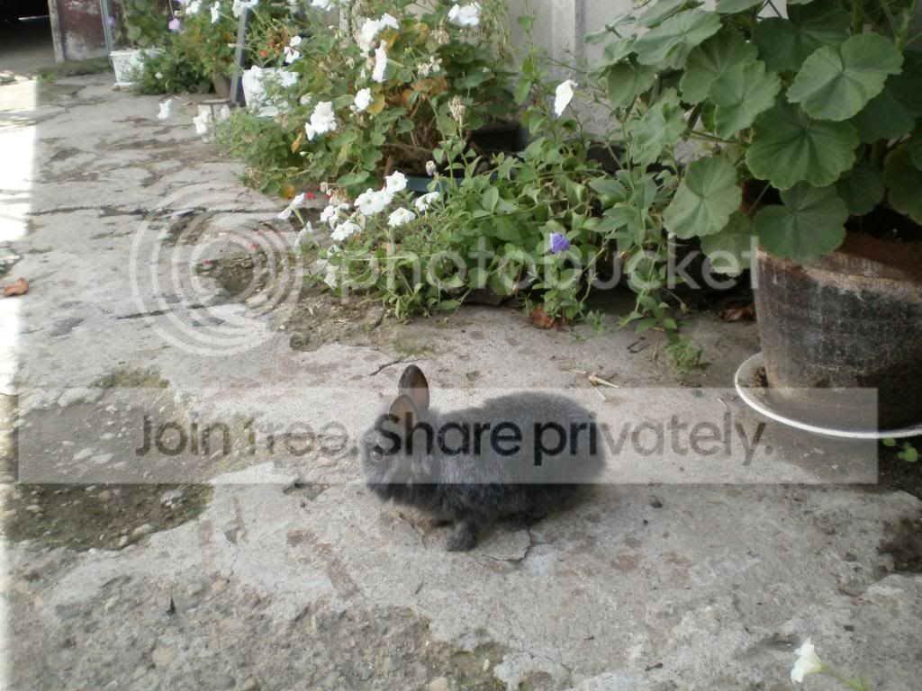  photo P9150008_zps052b08a7.jpg